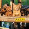 映画『劇場版 岩合光昭の世界ネコ歩き あるがままに、水と大地のネコ家族』